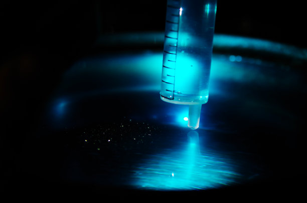 塞林格图片下载