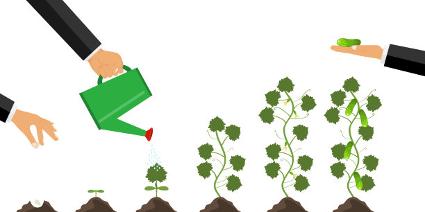 植物从萌发到成熟的生长过程。种植、关爱植物的理念。种植黄瓜。黄瓜的生长阶段。图片下载