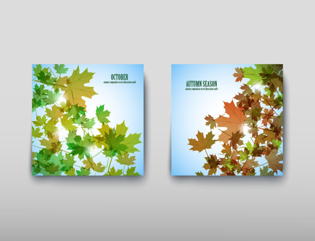 说明秋天主题。枫叶。向量的背景图片下载