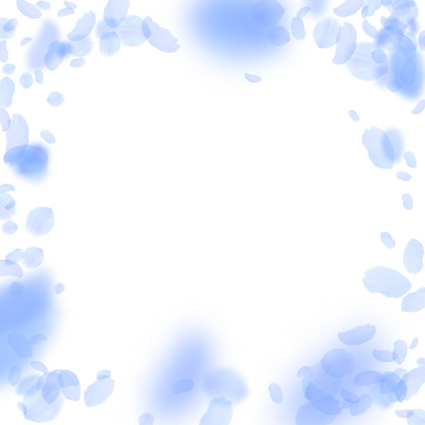 深蓝色的花瓣飘落。奇妙浪漫的花朵小插画。飞花瓣上的白色squ图片下载