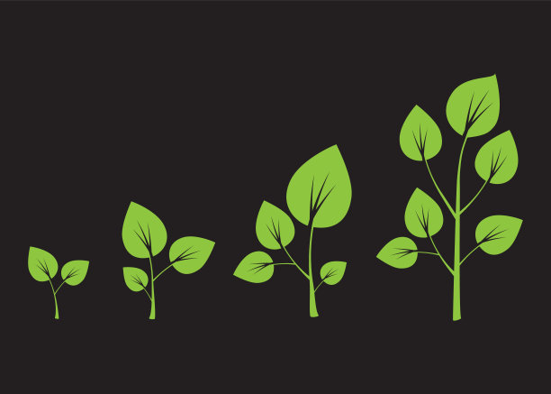 树木生长图。绿树生长背景图片下载