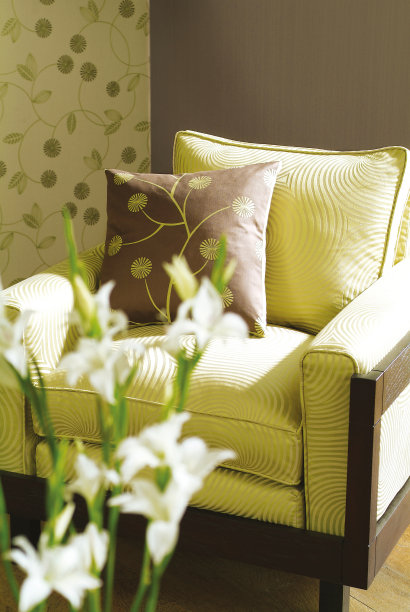 客厅里漂亮的扶手椅图片下载