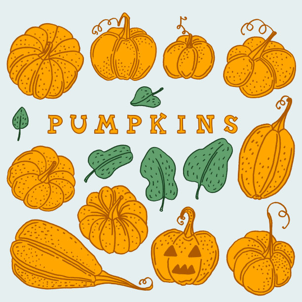 手绘矢量装饰元素-橙色南瓜孤立与绿叶。图片下载