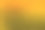 黄金质地的背景。图片下载
