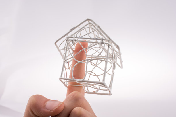 模型房到手图片下载