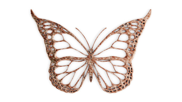 单彩蝴蝶装饰图片下载