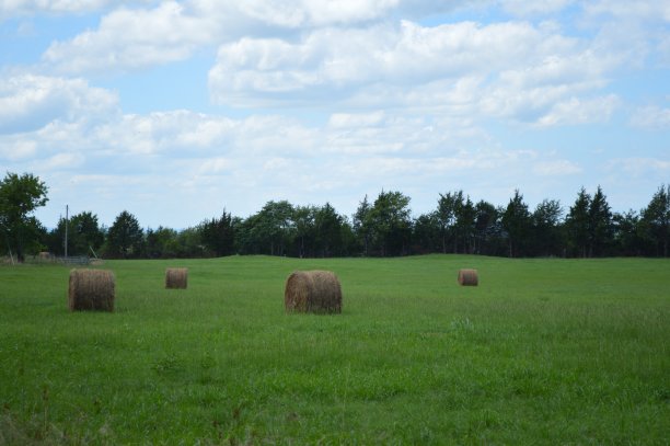 夏天的干草田图片下载