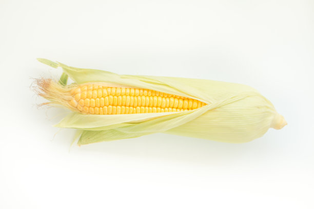 新鲜的玉米。图片下载