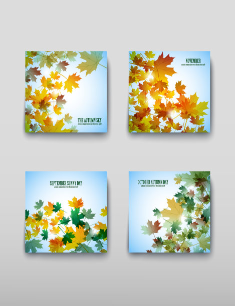 说明秋天主题。枫叶。向量的背景图片下载