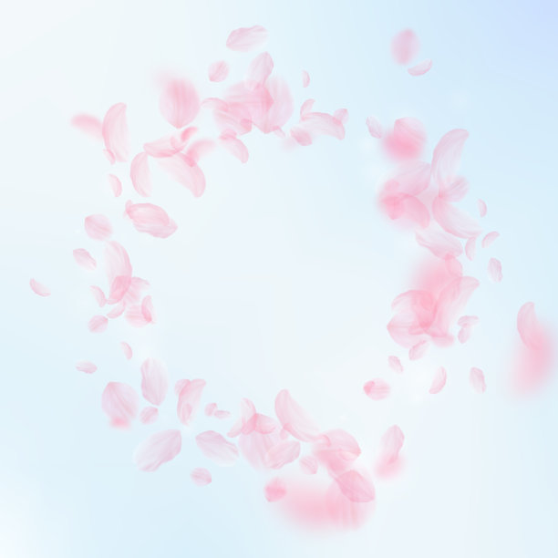 樱花花瓣飘落。浪漫的粉红色花朵小插画。蓝天广场上飞舞的花瓣图片下载