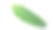 芭蕉叶孤立在白色背景与修剪路径。图片下载