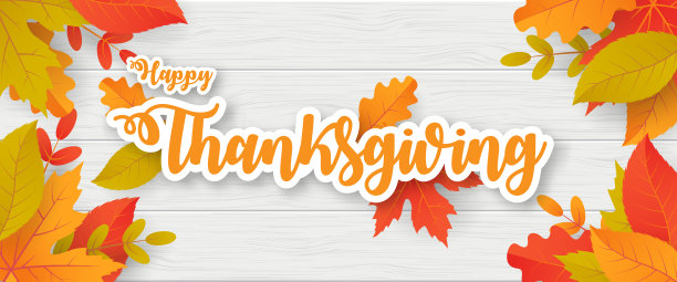 快乐的感恩节背景与树叶。可用于海报，横幅，传单，邀请，网站或贺卡。图片下载