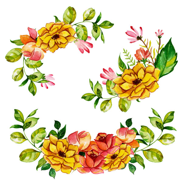 美丽的水彩花束排列收集图片下载