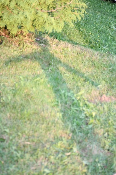 影子在夏天图片下载