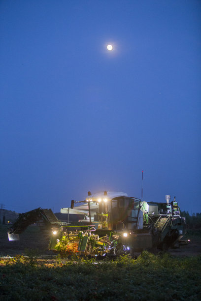 夜间工作的自行番茄收割机图片下载