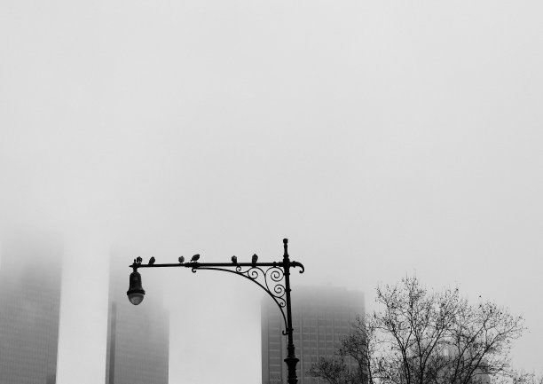 雾蒙蒙的天图片下载