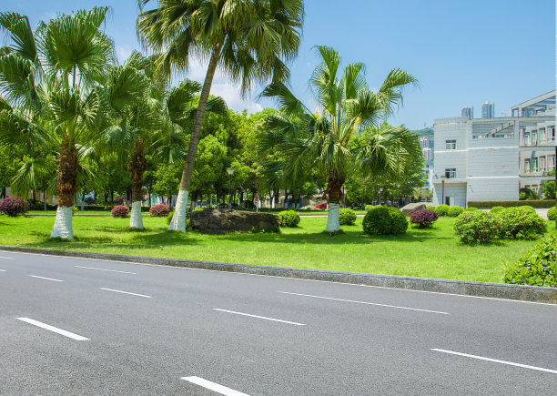 热带城市公园和干净宽阔的柏油路在阳光明媚的夏天图片下载