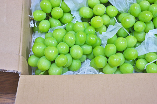 发光马斯喀特图片下载