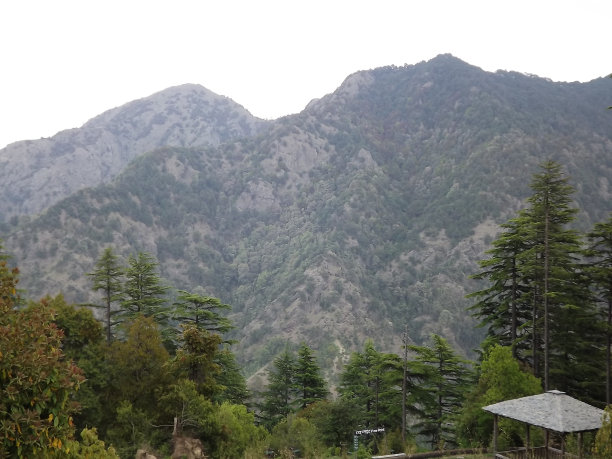 穆索里森林和山谷景观图片下载