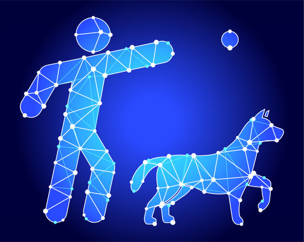 狗训练蓝色三角形节点向量模式图片下载