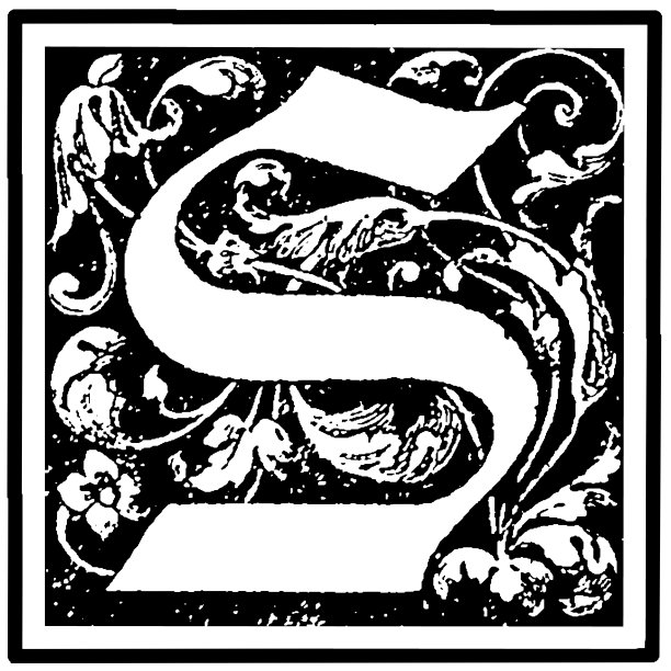 修饰的大写字母S图片下载