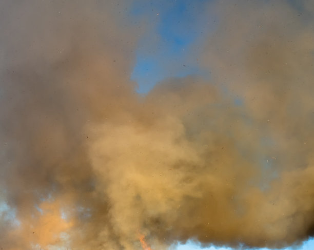 照片中，来自瑞典森林的松树、桦树、云杉等树木的树枝燃烧产生浓厚的棕黄色烟雾，与飞舞的灰烬等火制品碎片在篝火中熊熊燃烧，蔚蓝色的天空图片下载