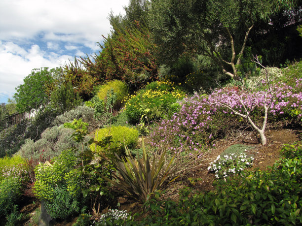 花园场景图片下载