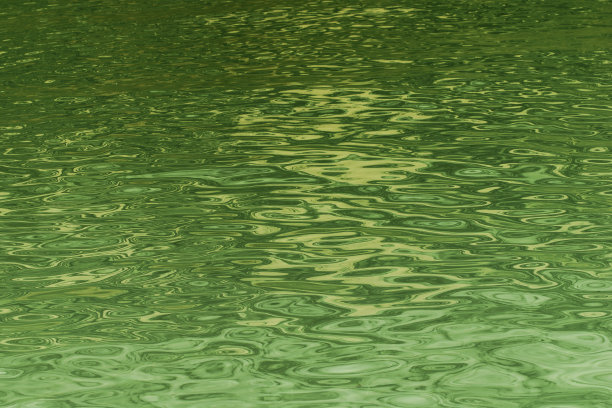 绿色的水面图片下载