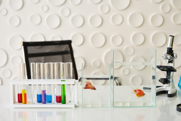 身穿白袍的科学家正在用奇特的鱼做研究实验图片下载