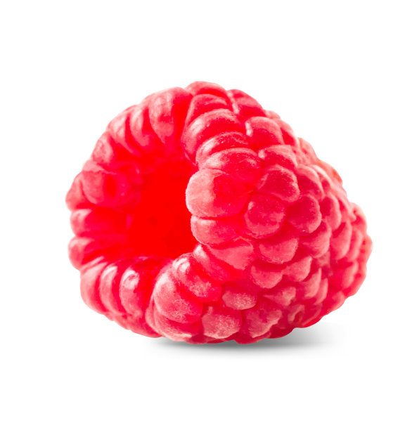 在白色背景上孤立的树莓。图片下载