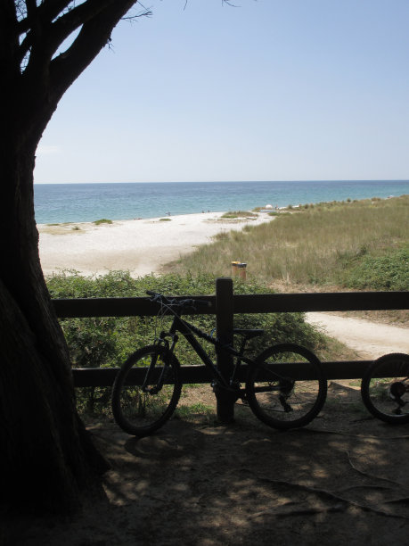 自行车躺在木栅栏下的海滩松林布列塔尼图片下载