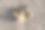 秋天在鹅卵石上晒干了叶子图片下载