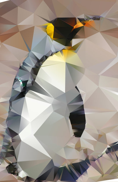 南极野生动物王企鹅-抽象几何三角测量图片下载