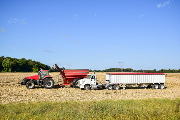 拖拉机正在卸卸收获的玉米图片下载