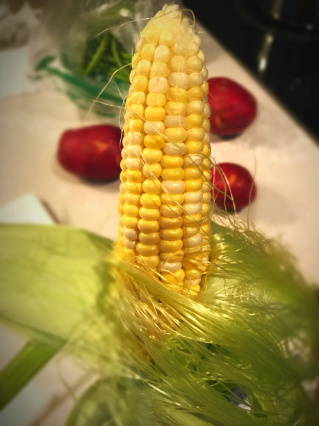 正在剥皮的玉米。图片下载