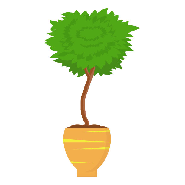 室外盆栽树木的装饰修剪。黄杨树木的园林植物。花盆中的装饰树。矢量插图孤立在白色背景。矢量图图片下载