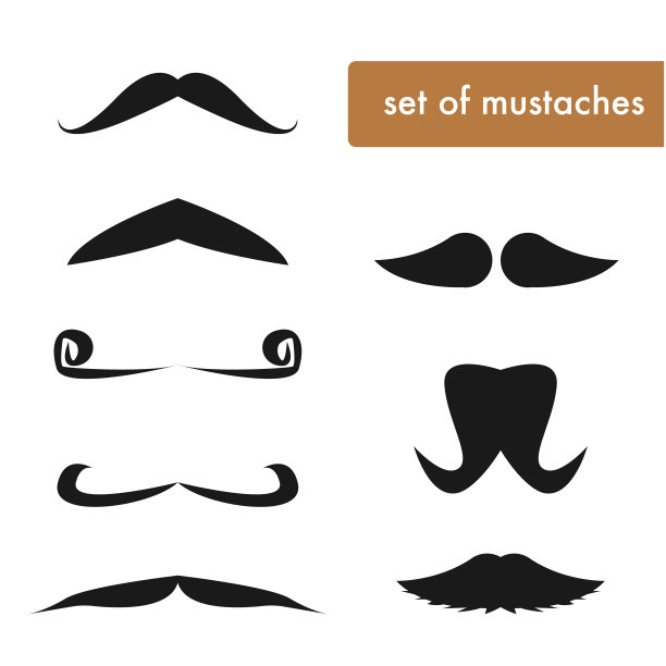 向量插图的集合。图片下载