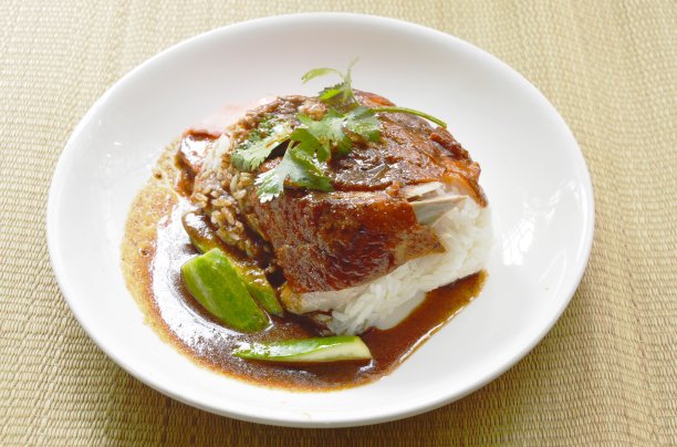 烤鸭肉浇上米饭，浇上甜酱和腌姜图片下载