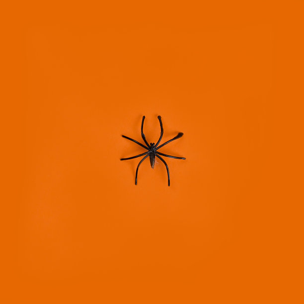 万圣节假期，无缝背景图片下载