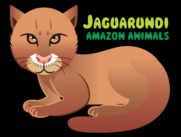 捷豹（赫帕卢鲁斯·亚古阿隆迪）图片下载