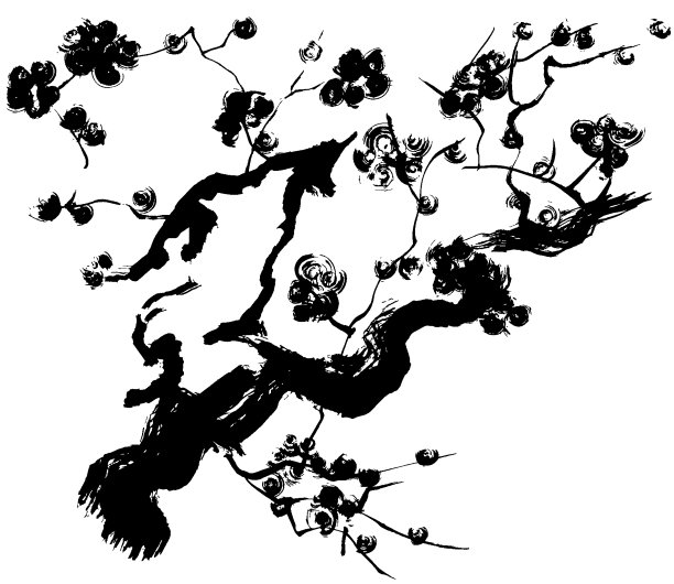 梅花。图片下载