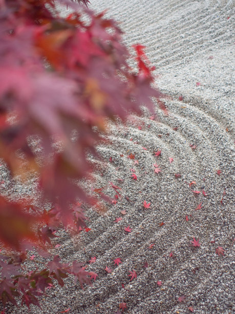 在日本上色图片下载