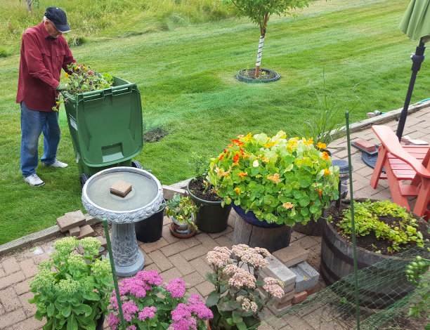 夏末花园清理堆肥图片下载