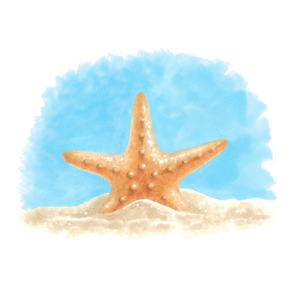 沙子里的海星图片下载