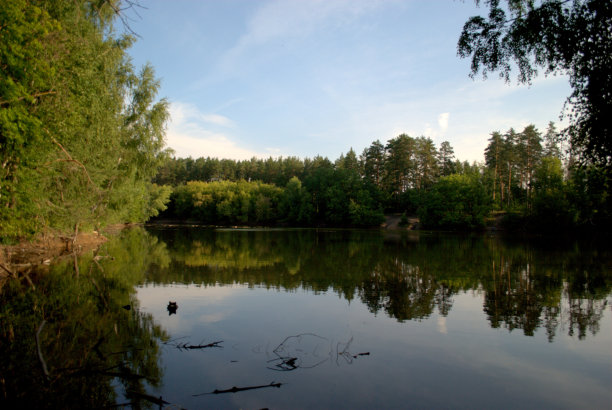 森林湖图片下载