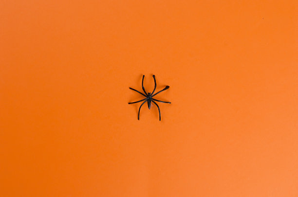 万圣节假期，无缝背景图片下载