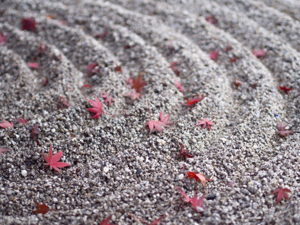 在日本上色图片下载