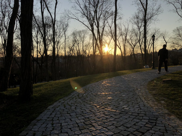 公园里的日落图片下载