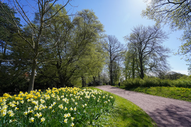 森林的公园图片图片下载