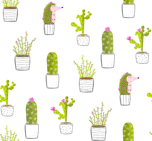 仙人掌刺猬在花盆乐趣无缝模式图片下载